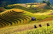 Nhiều hoạt động văn hóa du lịch hấp dẫn tại Lễ hội mùa Thu Sa Pa năm 2017