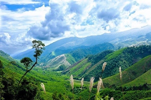 Sinh nhật của Lin